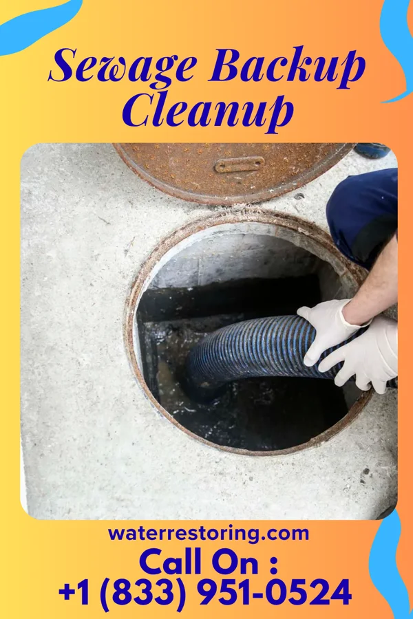 Sewage Backup Cleanup in Sistersville, WV
