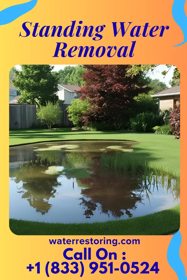 Standing Water Removal in Sistersville, WV
